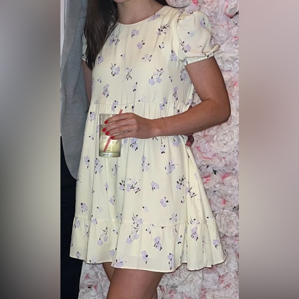 Aritzia Sunday Best Floral Mini Dress